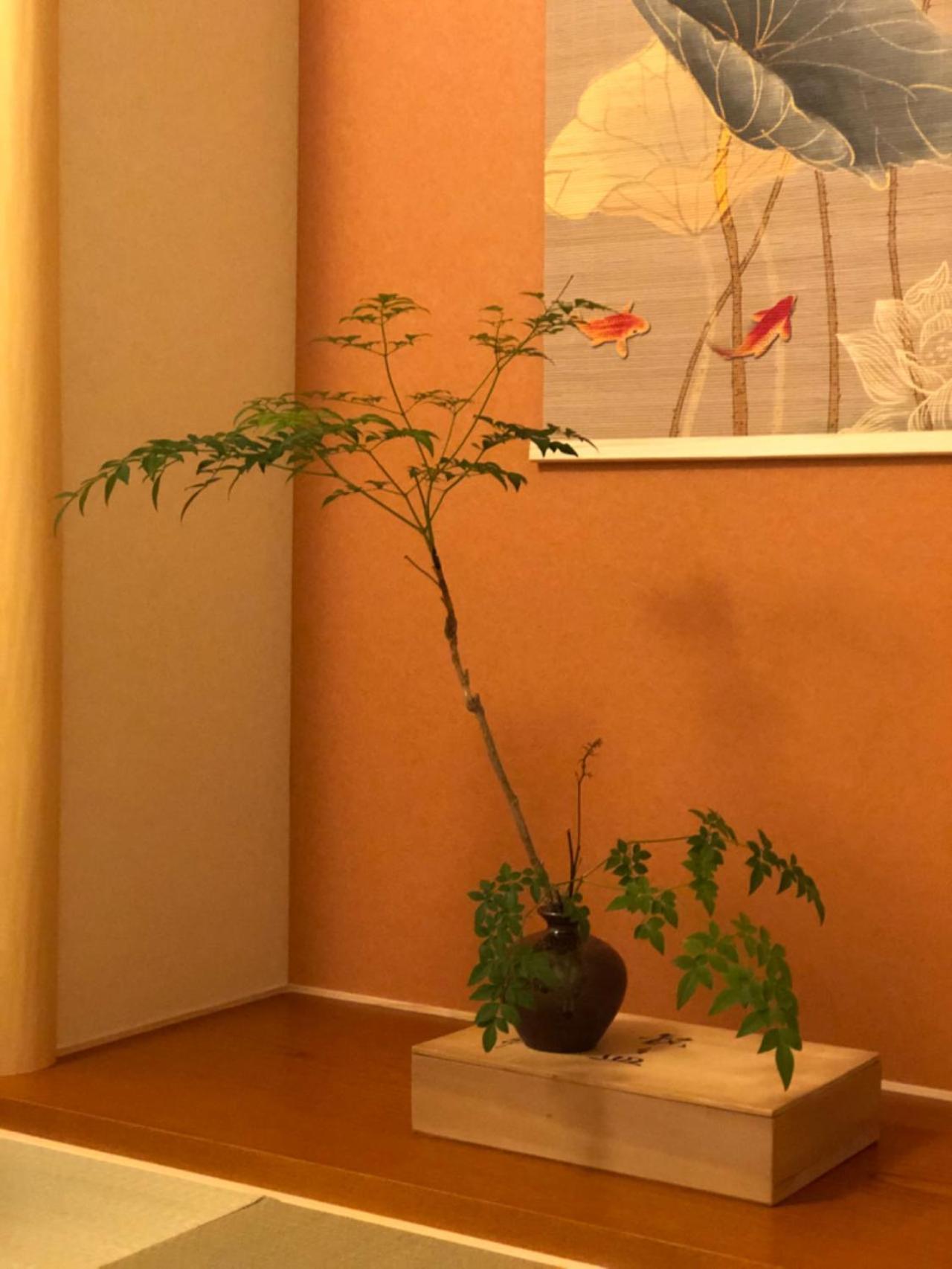 静雅の宿 Kyoto Ngoại thất bức ảnh