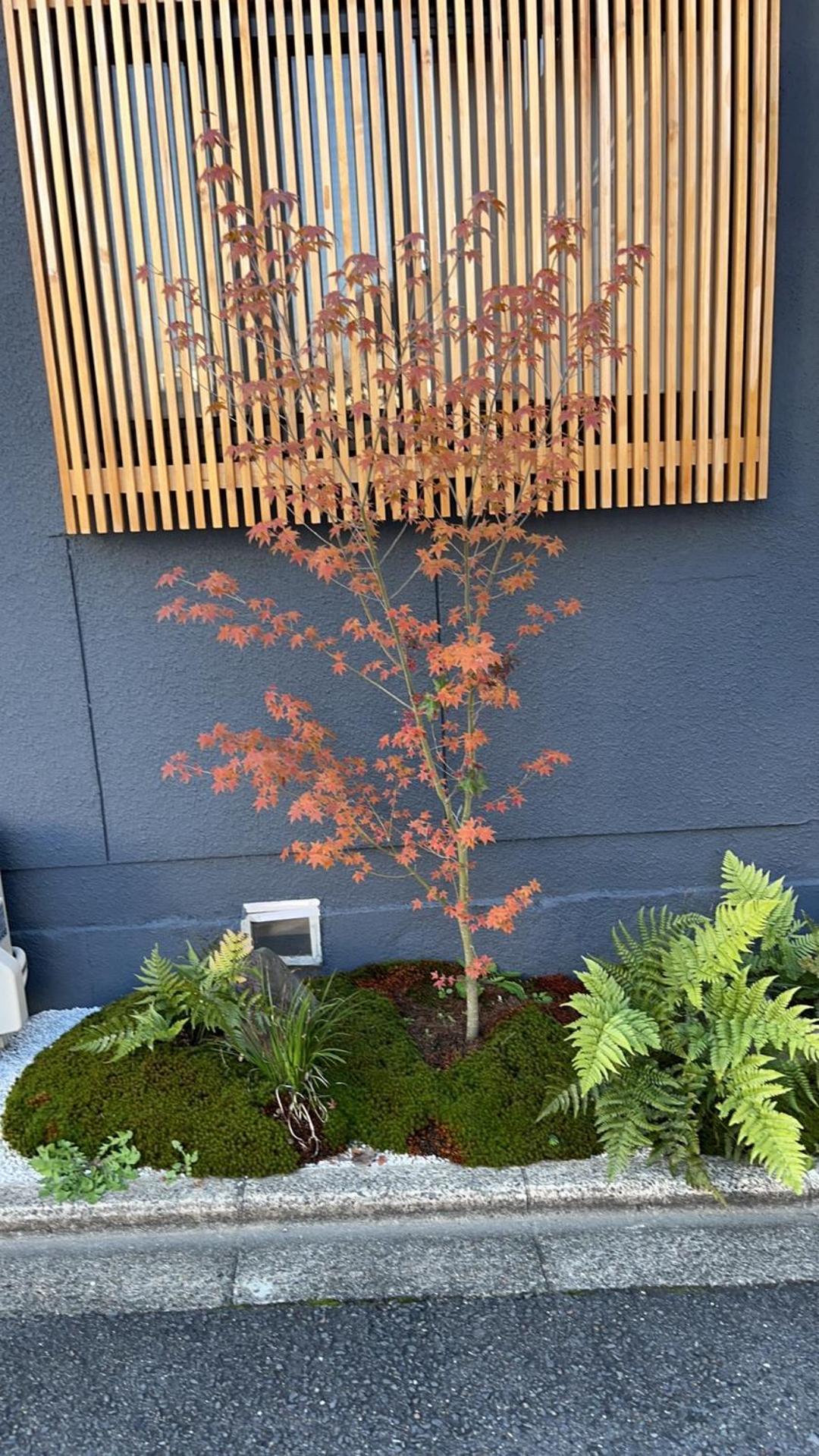 静雅の宿 Kyoto Ngoại thất bức ảnh